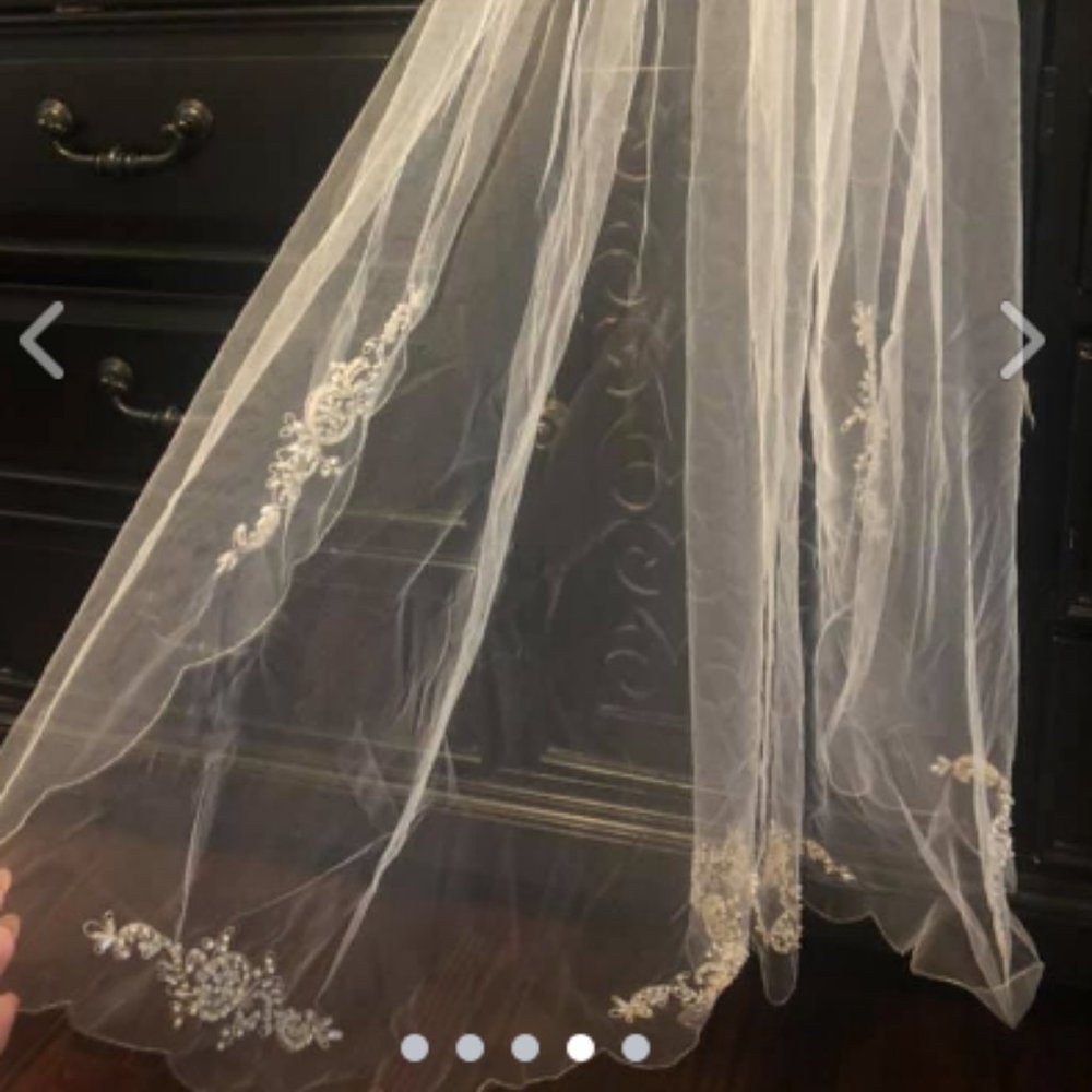 Davids Bridal Veil
